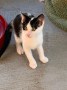 Meggie (1)